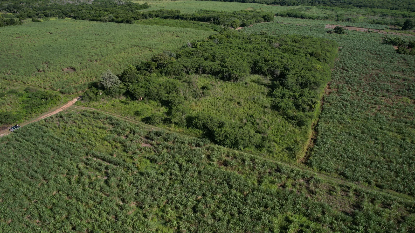 A property Richard helped sell in Belize, photo 6