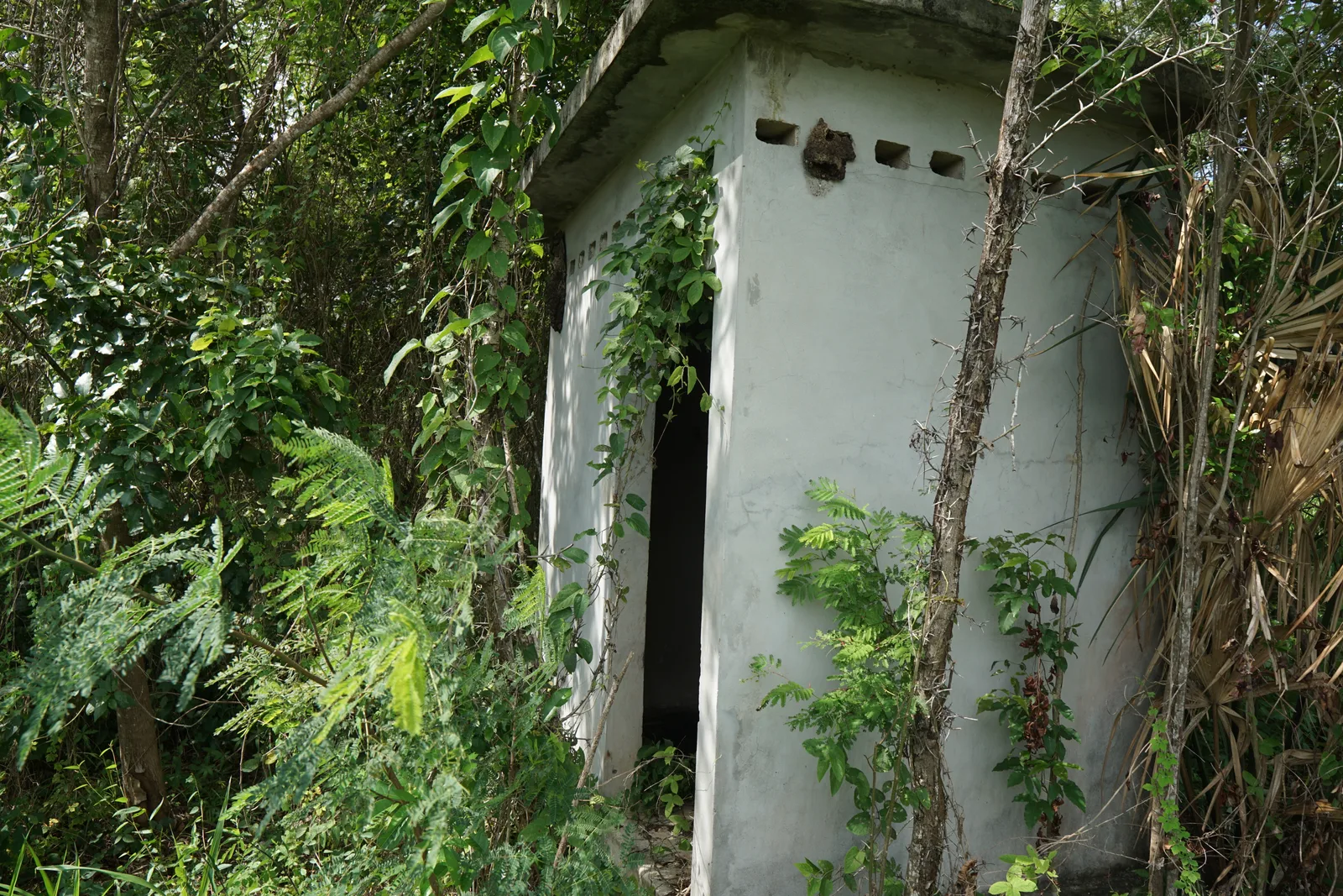 A property Richard helped sell in Belize, photo 7