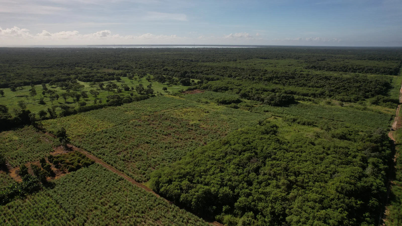 A property Richard helped sell in Belize, photo 9